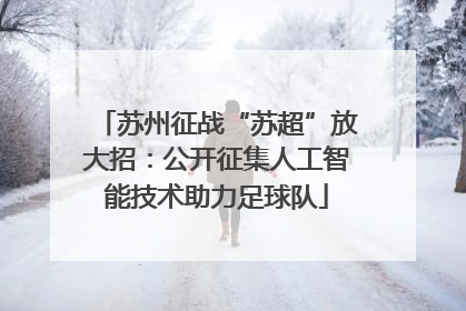 苏州征战“苏超”放大招：公开征集人工智能技术助力足球队