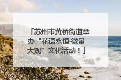 苏州市黄桥街道举办“花语永恒·微景大观”文化活动！