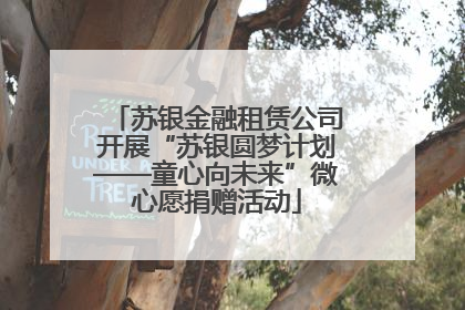苏银金融租赁公司开展“苏银圆梦计划——童心向未来”微心愿捐赠活动