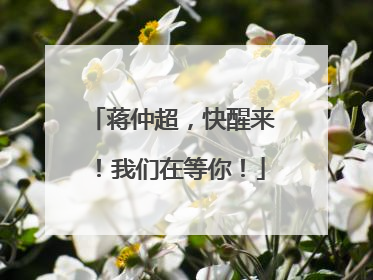 蒋仲超，快醒来！我们在等你！