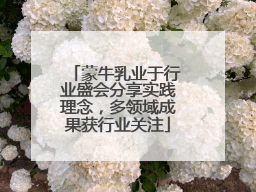 蒙牛乳业于行业盛会分享实践理念，多领域成果获行业关注