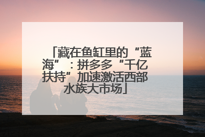 藏在鱼缸里的“蓝海”：拼多多“千亿扶持”加速激活西部水族大市场
