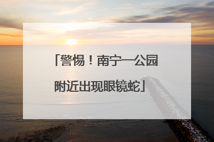 警惕！南宁一公园附近出现眼镜蛇