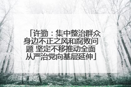 许勤：集中整治群众身边不正之风和腐败问题 坚定不移推动全面从严治党向基层延伸