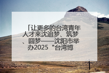 让更多的台湾青年人才来沈追梦、筑梦、圆梦——沈阳市举办2025“台湾博士沈阳行”活动