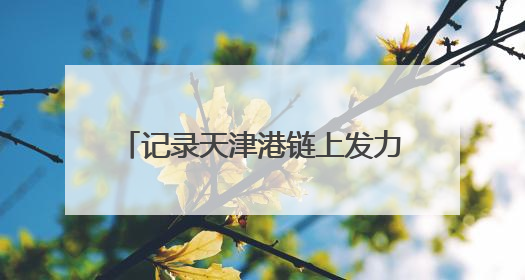 记录天津港链上发力、蓬勃向新的故事