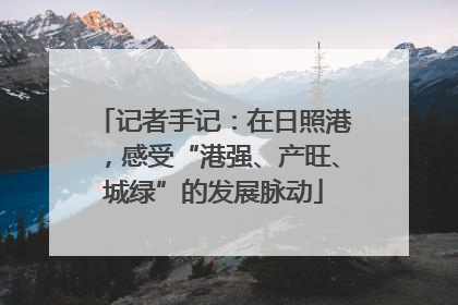 记者手记：在日照港，感受“港强、产旺、城绿”的发展脉动