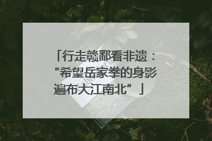 行走赣鄱看非遗：“希望岳家拳的身影遍布大江南北”