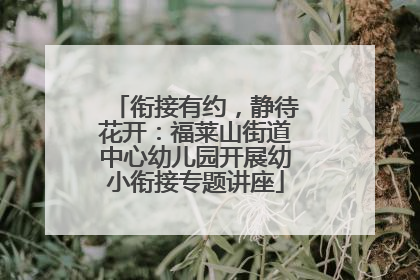 衔接有约，静待花开：福莱山街道中心幼儿园开展幼小衔接专题讲座