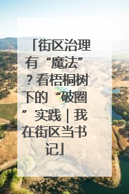 街区治理有“魔法”？看梧桐树下的“破圈”实践｜我在街区当书记