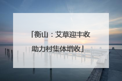 衡山：艾草迎丰收 助力村集体增收