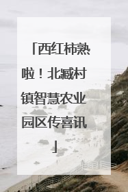 西红柿熟啦！北臧村镇智慧农业园区传喜讯