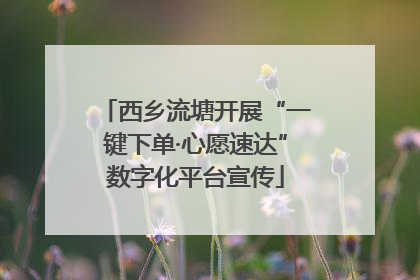 西乡流塘开展“一键下单·心愿速达”数字化平台宣传