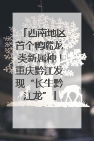 西南地区首个鸭嘴龙类新属种！重庆黔江发现“长生黔江龙”