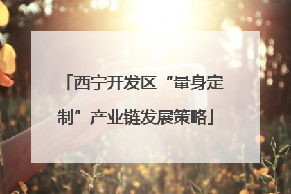西宁开发区“量身定制”产业链发展策略