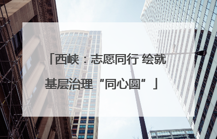 西峡：志愿同行 绘就基层治理“同心圆”