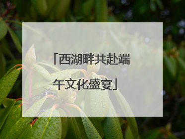西湖畔共赴端午文化盛宴