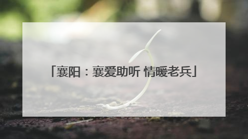 襄阳：襄爱助听 情暖老兵