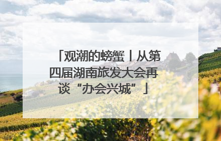 观潮的螃蟹丨从第四届湖南旅发大会再谈“办会兴城”