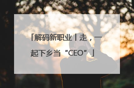 解码新职业丨走，一起下乡当“CEO”