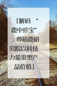 解码 “鹿中珍宝”：尊禧鹿研究院以科技力量重塑产品价值