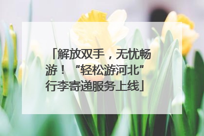 解放双手，无忧畅游！“轻松游河北”行李寄递服务上线