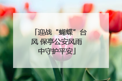 迎战“蝴蝶”台风 保亭公安风雨中守护平安