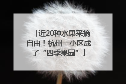 近20种水果采摘自由！杭州一小区成了“四季果园”