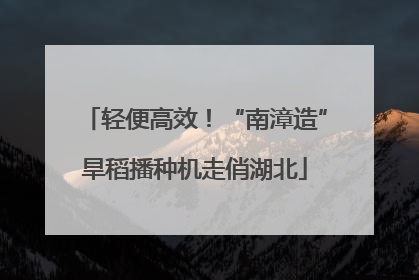 轻便高效！“南漳造”旱稻播种机走俏湖北