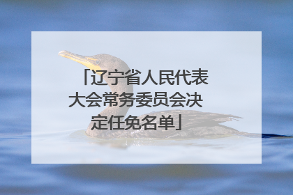 辽宁省人民代表大会常务委员会决定任免名单