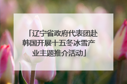 辽宁省政府代表团赴韩国开展十五冬冰雪产业主题推介活动