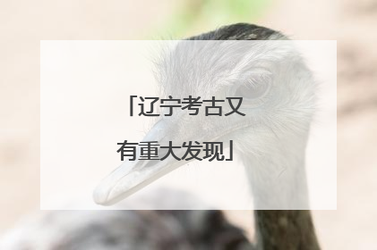 辽宁考古又有重大发现