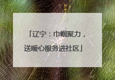 辽宁：巾帼聚力，送暖心服务进社区