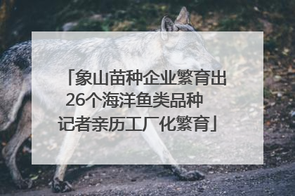象山苗种企业繁育出26个海洋鱼类品种 记者亲历工厂化繁育
