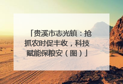 贵溪市志光镇：抢抓农时促丰收，科技赋能保粮安（图）