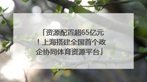 资源配置超65亿元！上海搭建全国首个政企协同体育资源平台