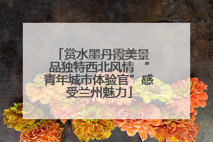 赏水墨丹霞美景 品独特西北风情 “青年城市体验官”感受兰州魅力