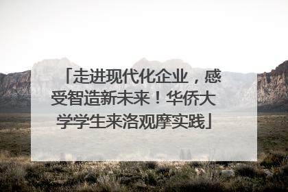 走进现代化企业，感受智造新未来！华侨大学学生来洛观摩实践