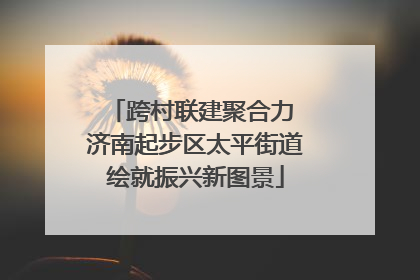 跨村联建聚合力 济南起步区太平街道绘就振兴新图景
