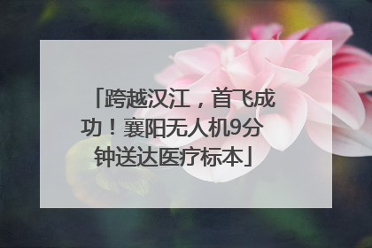跨越汉江，首飞成功！襄阳无人机9分钟送达医疗标本
