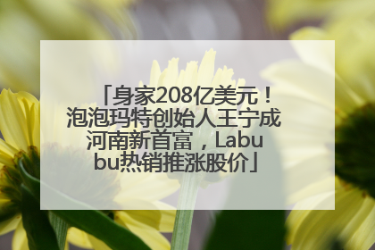 身家208亿美元！泡泡玛特创始人王宁成河南新首富，Labubu热销推涨股价