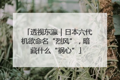 透视东瀛｜日本六代机欲命名“烈风”，暗藏什么“祸心”