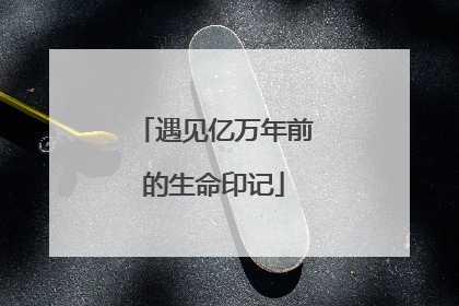 遇见亿万年前的生命印记