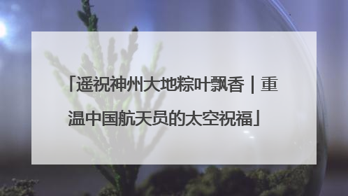遥祝神州大地粽叶飘香｜重温中国航天员的太空祝福