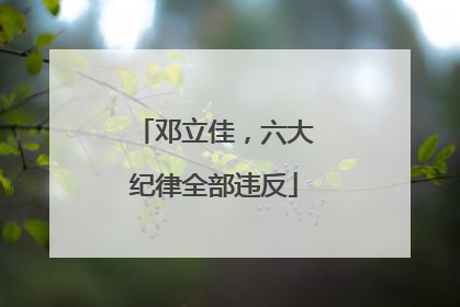邓立佳，六大纪律全部违反