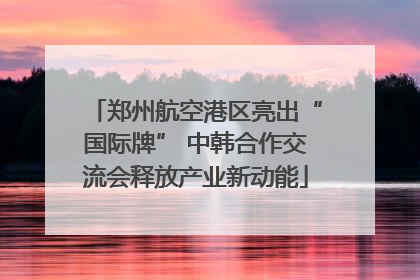 郑州航空港区亮出“国际牌” 中韩合作交流会释放产业新动能