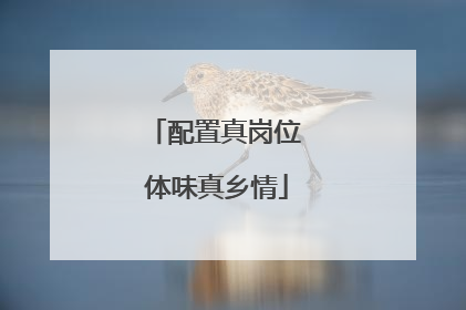 配置真岗位 体味真乡情