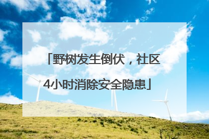 野树发生倒伏，社区4小时消除安全隐患