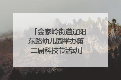 金家岭街道辽阳东路幼儿园举办第二届科技节活动