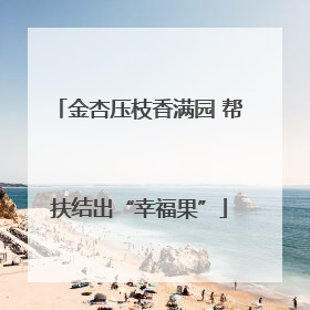 金杏压枝香满园 帮扶结出“幸福果”